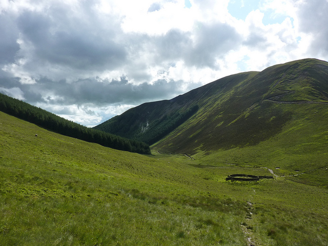 Southern Uplands Way: Sheep pen and forest - © Flickr user Andrew Bowden