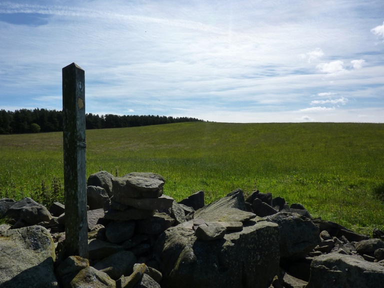 United Kingdom Scotland Borders, Southern Uplands Way, waymark in some rocks , Walkopedia