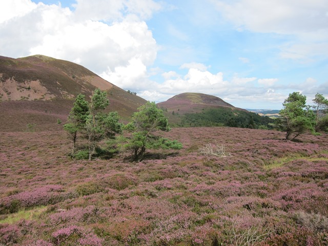 United Kingdom Scotland Borders, Eildon Hills, Northward from south hill, Walkopedia