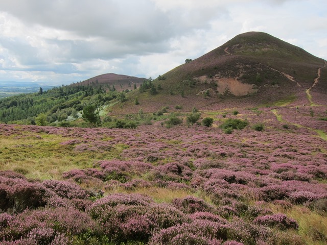 United Kingdom Scotland Borders, Eildon Hills, Middle hill from saddle, Walkopedia