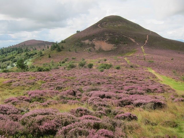 Eildon Hills: Middle Hill from saddle - © William Mackesy