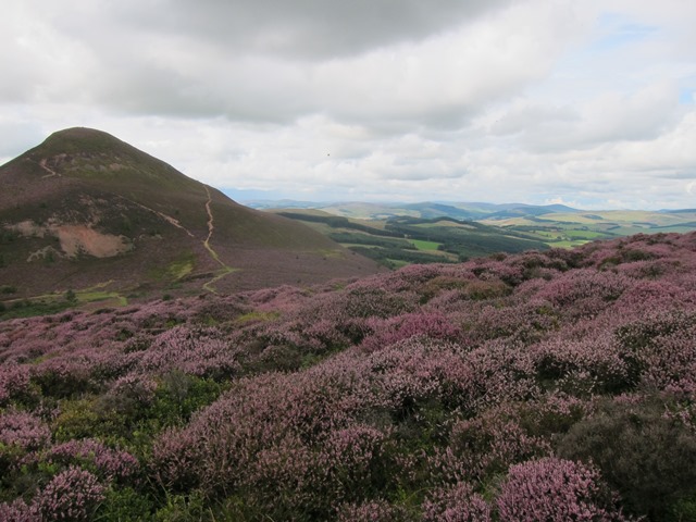 United Kingdom Scotland Borders, Eildon Hills, Middle hill from north hill, Walkopedia