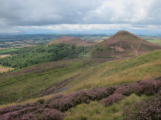 United Kingdom Scotland Borders, Eildon Hills, Middle and south hills from north hill, Walkopedia