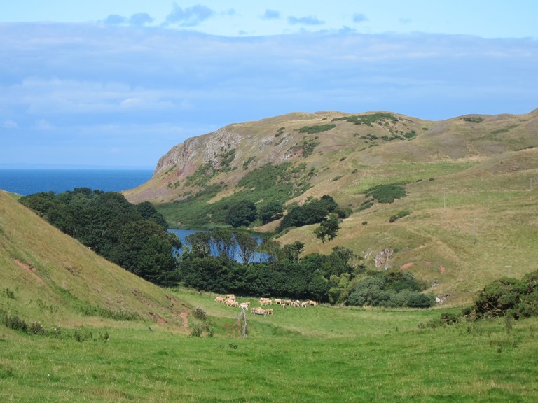 United Kingdom Scotland Borders, St Abbs Head, Behind the cliffs, Walkopedia