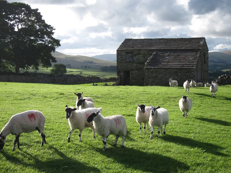 United Kingdom England Yorkshire Dales, Wensleydale, Wensleydale , Walkopedia