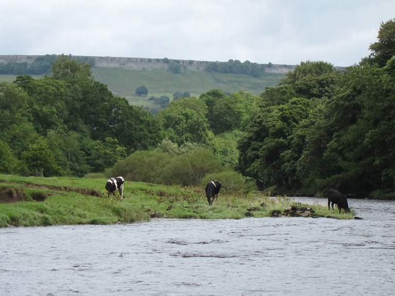 United Kingdom England Yorkshire Dales, Wensleydale, Ure Valley below Aysgarth , Walkopedia