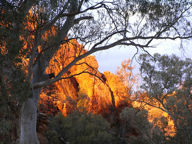 Australia Northern Territory, West Macdonnell Ranges, Larapinta, Walkopedia