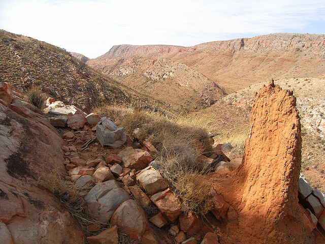 Australia Northern Territory, West Macdonnell Ranges, Larapinta, Walkopedia