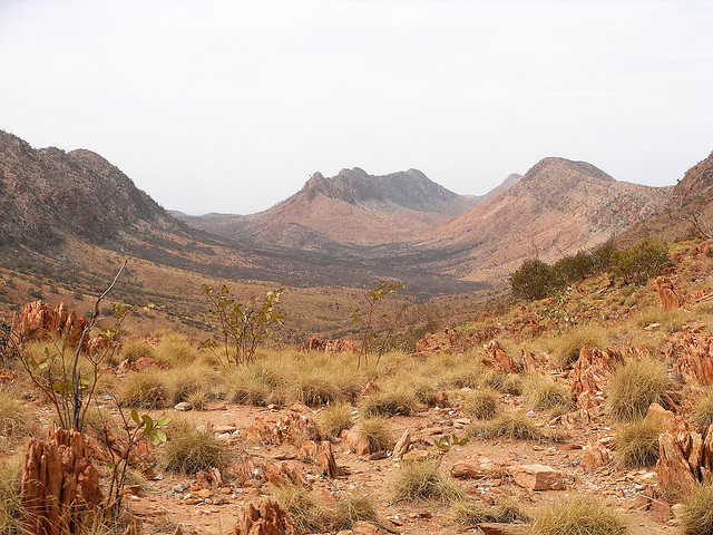 West Macdonnell Ranges
 Larapinta  - © @ flickr user andydolman 1