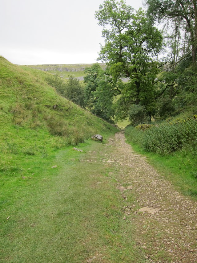 United Kingdom England Yorkshire Dales, Ingleborough, Below Trow Gill, Walkopedia