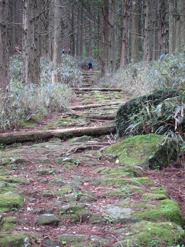 Japan Kansai: Kii Peninsula, Kumano Kodo, Nakahechi - Chest Bursting Slope , Walkopedia