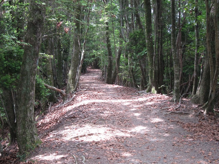 Japan Kansai: Kii Peninsula, Kumano Kodo, Nakahechi - Ridgetop , Walkopedia