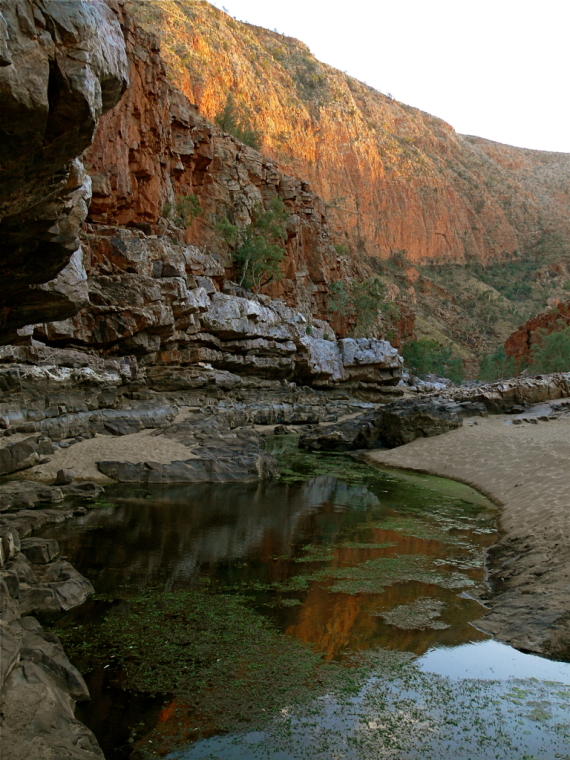 Australia Northern Territory, Ormiston Gorge and Pound, MacDonnel Ranges Ormiston Gorge, Walkopedia