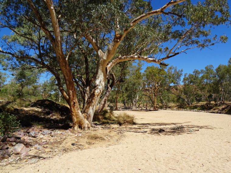 Australia Northern Territory, Ormiston Gorge and Pound, Ormiston Gorge, Walkopedia