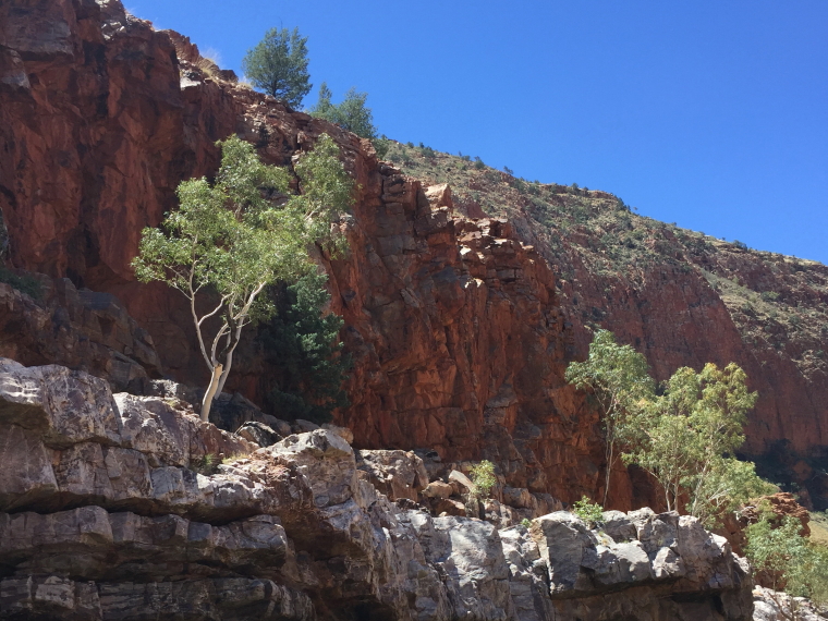 Australia Northern Territory, Ormiston Gorge and Pound, Ormiston, Walkopedia