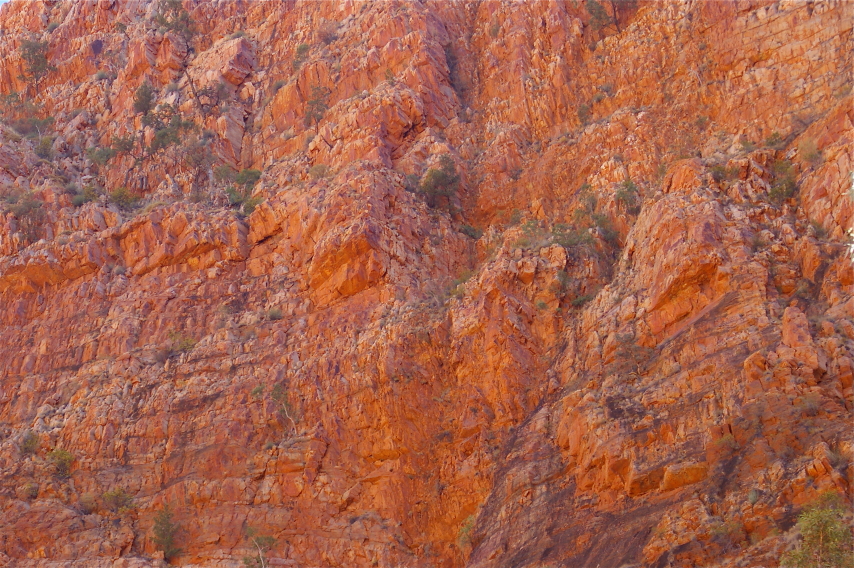 Ormiston Gorge and Pound: Red rock - © Flickr user Daryll Bellingham