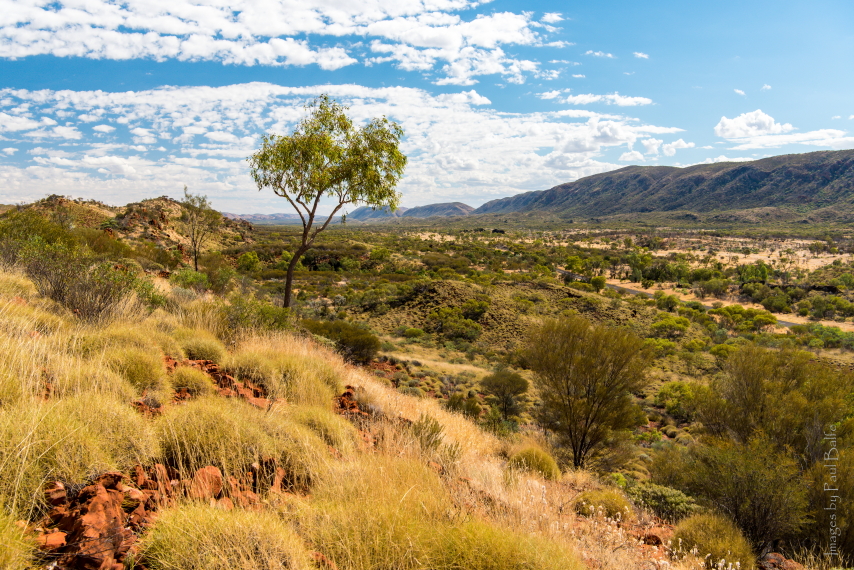 Australia Northern Territory, Ormiston Gorge and Pound, Western MacDonnell Ranges, Walkopedia