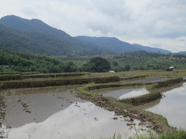 Hill Tribe Walks
Rice Paddies in Northern Laos - © flickr user- Stephen Bugno