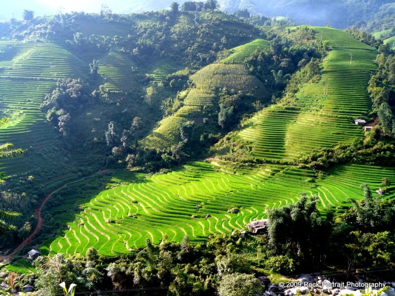 Hill Tribe Walks
Early morning sun glare over the rice paddies, Vietnam  - © flickr user- Stephen McGrath