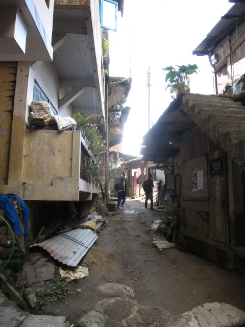 India Sikkim and nearby, Around Darjeeling, Below Darjeeling, Walkopedia