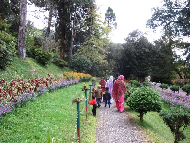 India Sikkim and nearby, Around Darjeeling, Botanical Garden, Walkopedia