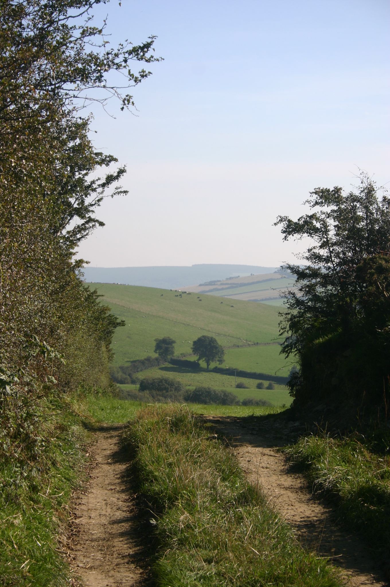 United Kingdom England/Wales, Offa's Dyke Path, , Walkopedia