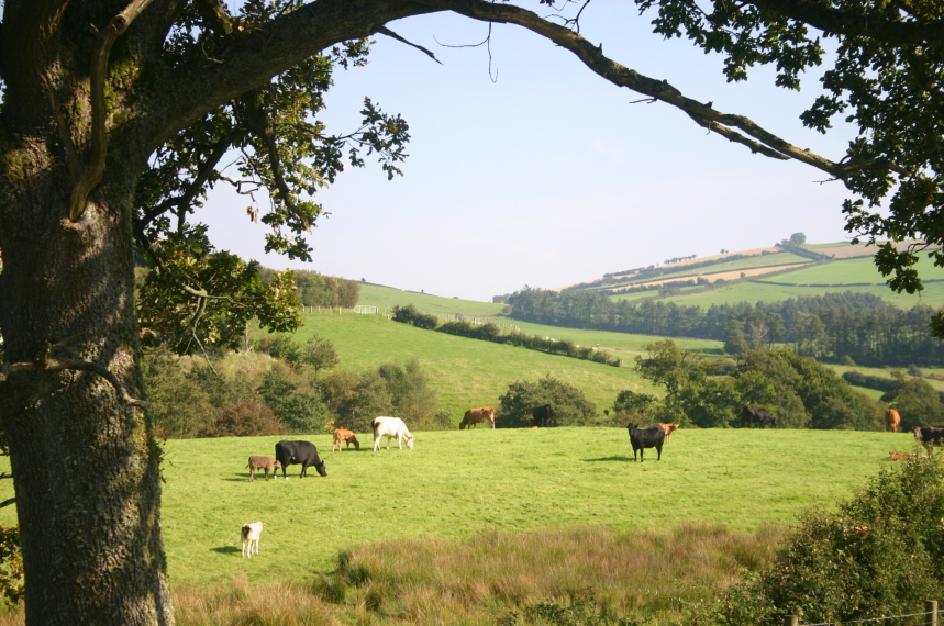 United Kingdom England/Wales, Offa's Dyke Path, , Walkopedia