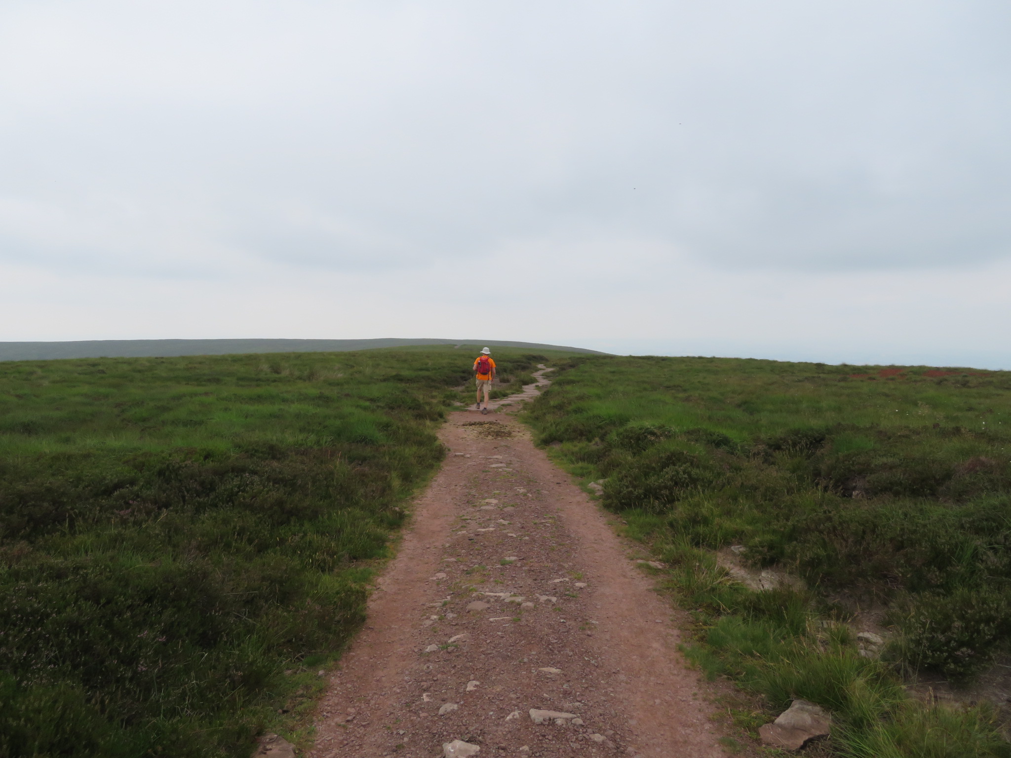 United Kingdom England/Wales, Offa's Dyke Path, Hatterrall Ridge a tad featureless, Walkopedia