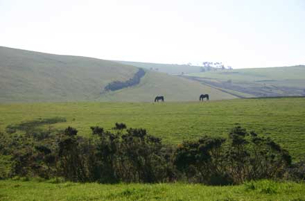 Offa's Dyke - - © William Mackesy Offa's Dyke Path: Offa's Dyke - - © William Mackesy