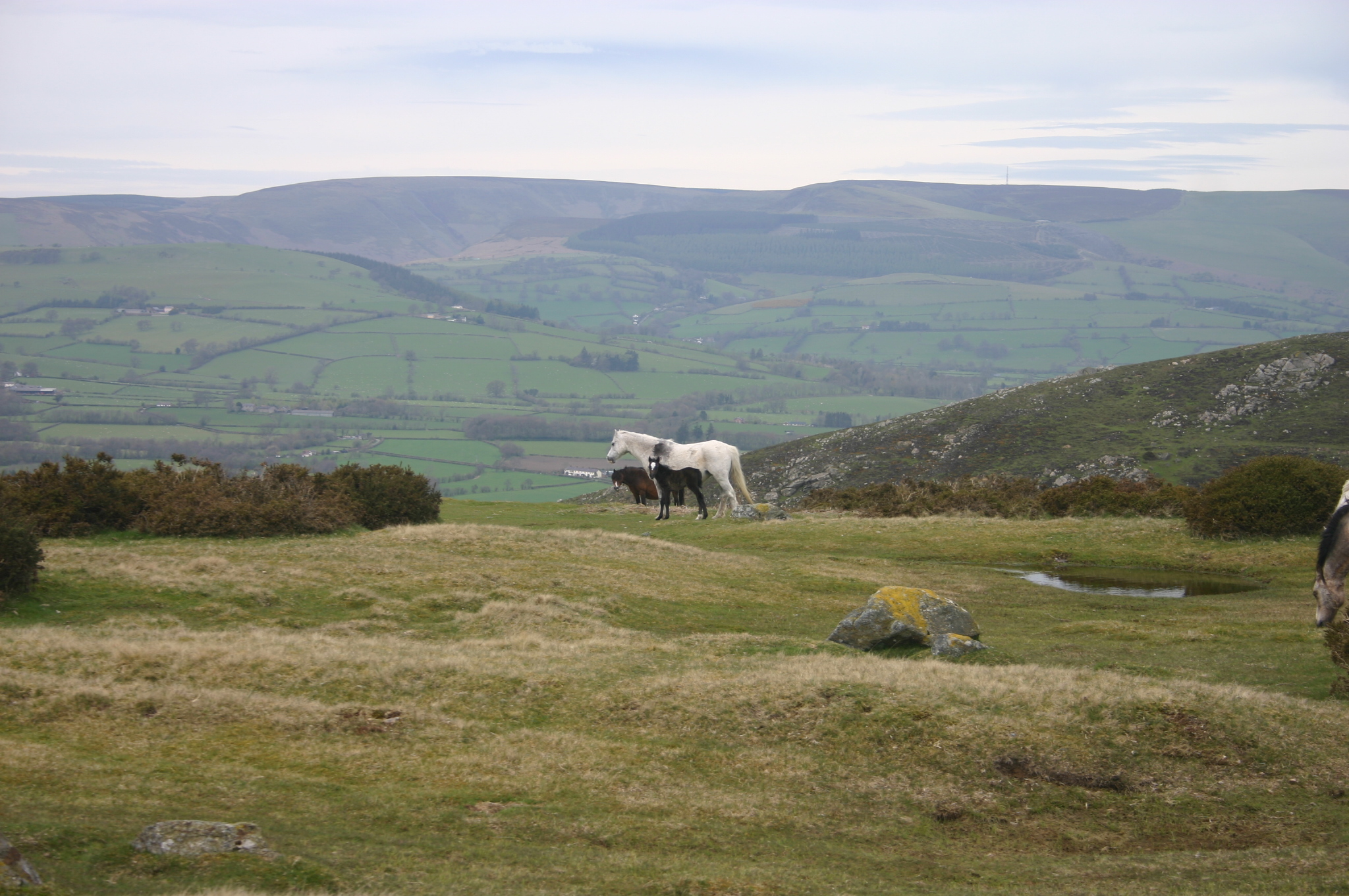 United Kingdom England/Wales, Offa's Dyke Path, May, Walkopedia