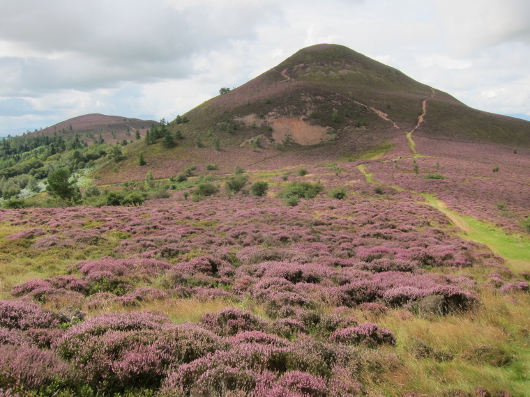 St Cuthbert's Way: Middle Eildon Hill from saddle - © William Mackesy