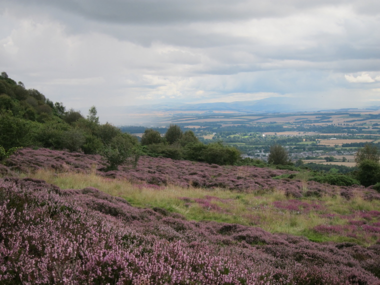 United Kingdom Scotland Borders, St Cuthbert's Way, South from Eildon Hills saddle, Walkopedia