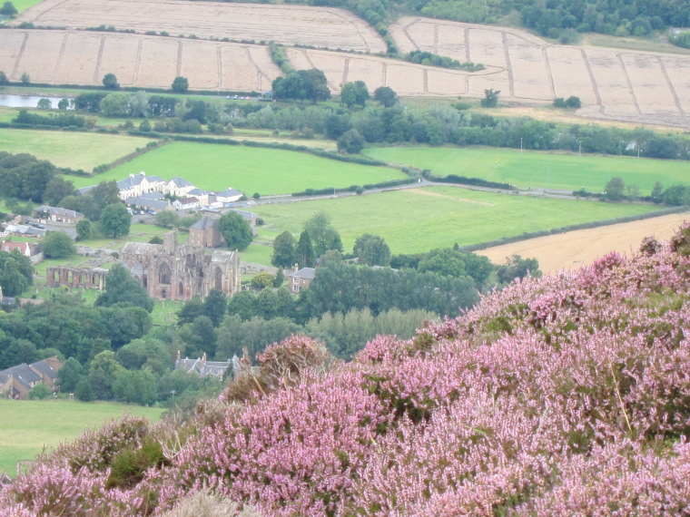 United Kingdom Scotland Borders, St Cuthbert's Way, Melrose Abbey from north Eildon Hill, Walkopedia