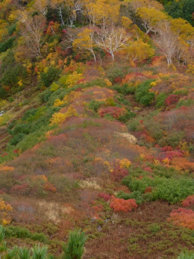 Japan Japanese Alps (Chubu), Murodo-Kamikochi, , Walkopedia