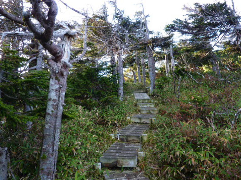 Japan Japanese Alps (Chubu), Murodo-Kamikochi, , Walkopedia