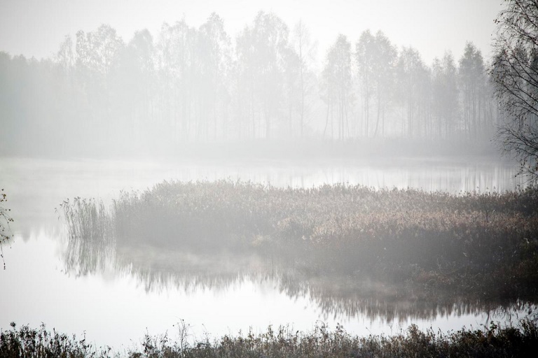 Belarus, Belovezhskaya Pushcha, , Walkopedia