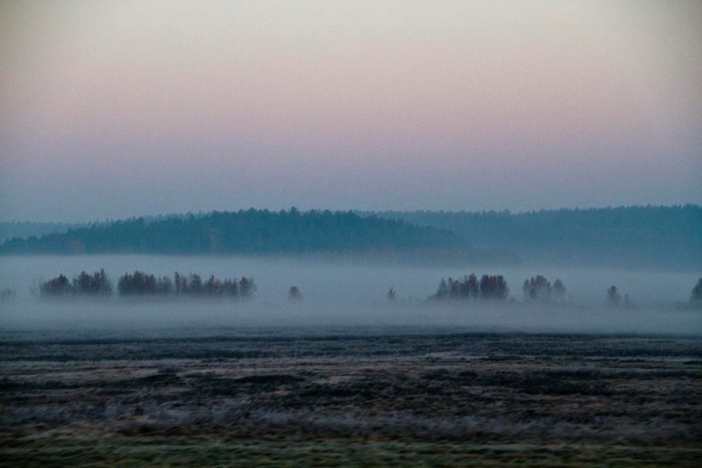 Belarus, Belovezhskaya Pushcha, , Walkopedia