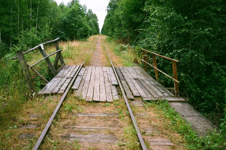 Poland, Bialowieza Forest , Bialowieska Forest , Walkopedia