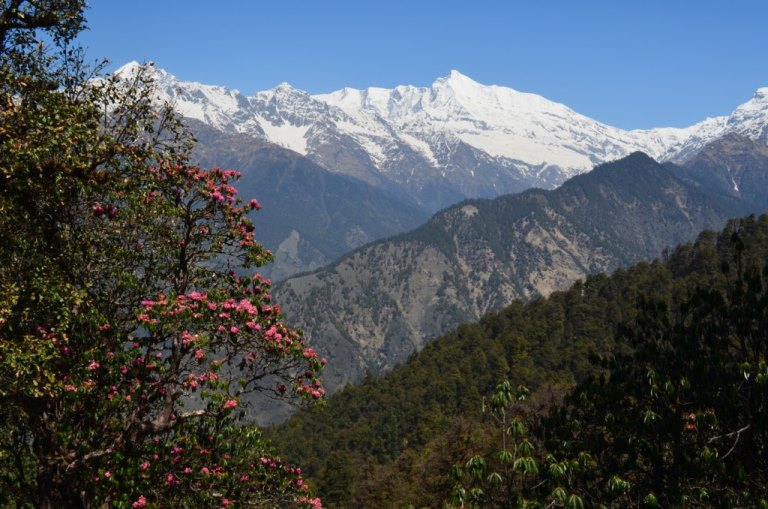 © Laura7581- flickr user Pindari Glacier Trek: © Laura7581- flickr user