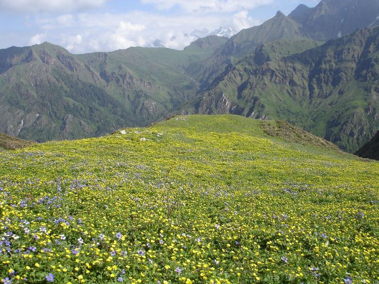 Dodi Tal Trek
Hanuman Chatti - © flickr user Leon Meerson