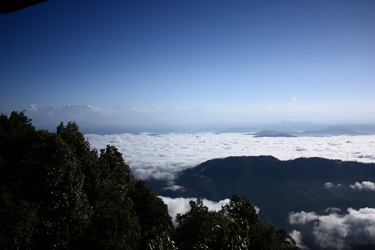 India NW: Uttarakhand/Kumaon, Binsar Wildlife Sanctuary, Binsar, Walkopedia