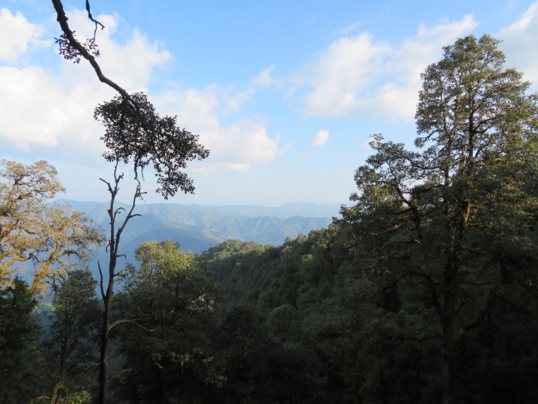 India NW: Uttarakhand/Kumaon, Binsar Wildlife Sanctuary, from near high ridge, Walkopedia