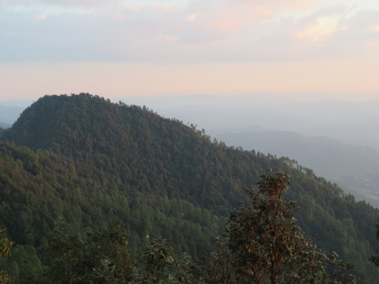 India NW: Uttarakhand/Kumaon, Binsar Wildlife Sanctuary, , Walkopedia