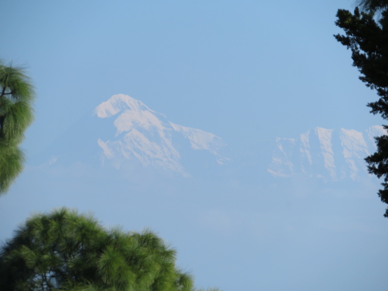 India NW: Uttarakhand/Kumaon, Binsar Wildlife Sanctuary, High Himalaya, morning view, Walkopedia