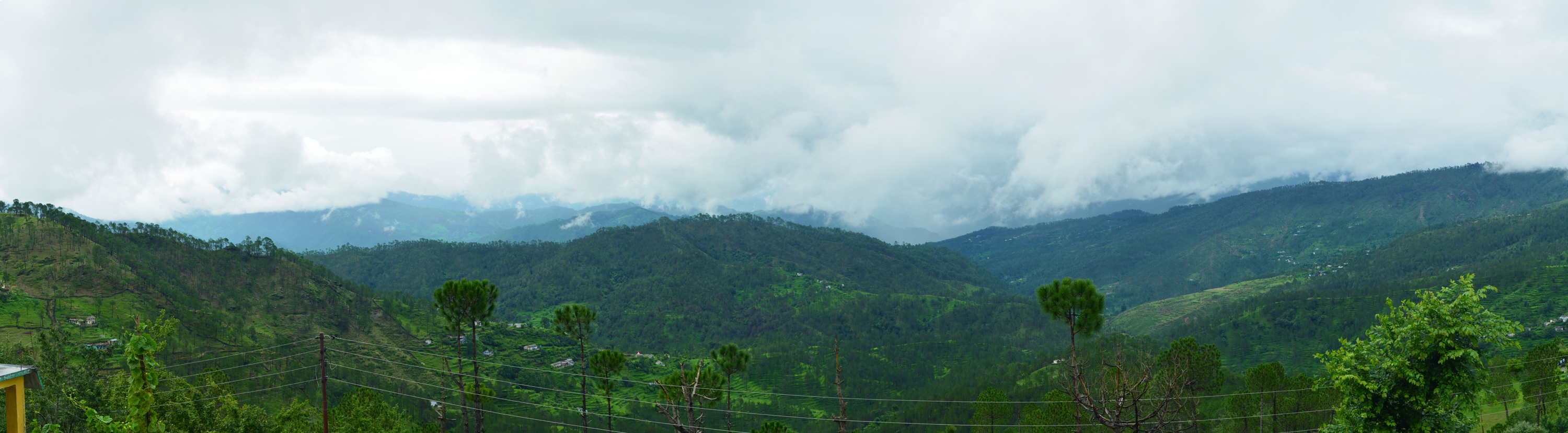 India NW: Uttarakhand/Kumaon, Binsar Wildlife Sanctuary, , Walkopedia