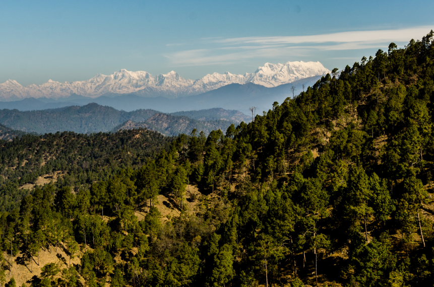 India NW: Uttarakhand/Kumaon, Binsar Wildlife Sanctuary, Zero Point in Binsar  , Walkopedia