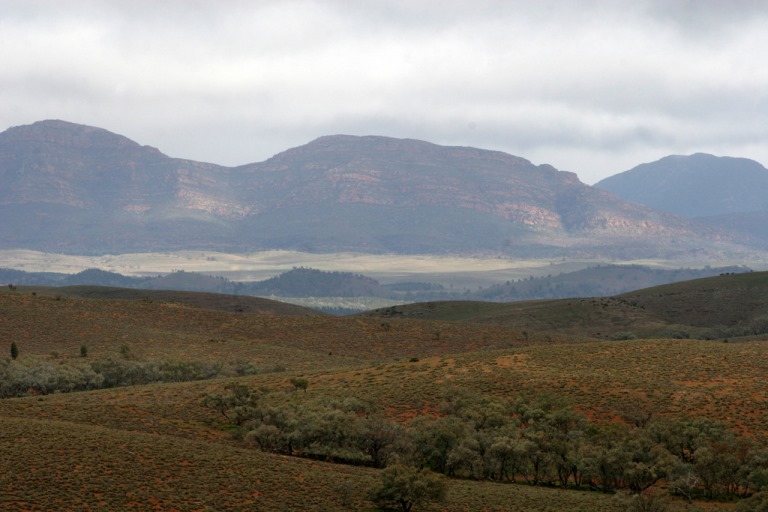 Australia South Australia/Flinders, Flinders Ranges , , Walkopedia