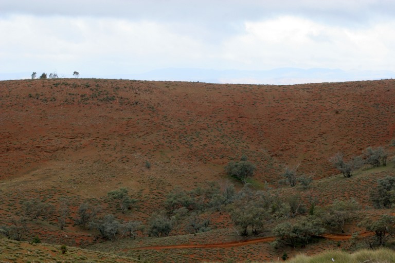 Flinders Ranges : © Flickr user - Boobook48