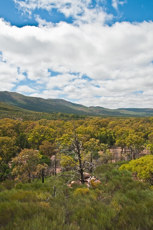 Australia South Australia/Flinders, Wilpena Pound, , Walkopedia