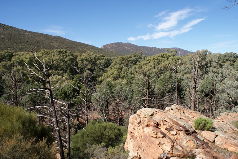 Wilpena Pound
© Michelle Bartsch